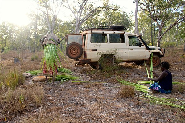 Darwin Aboriginal Art Fair