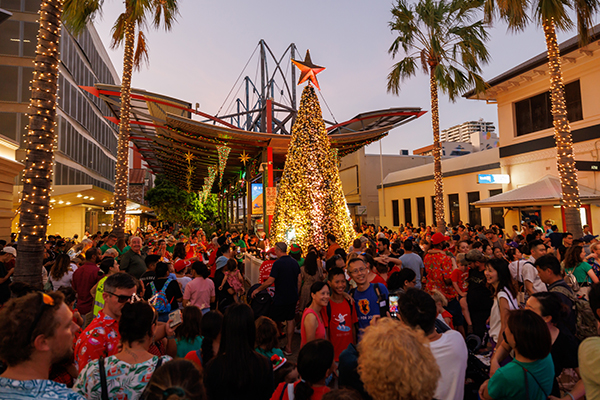 Darwin City Tree Lighting 