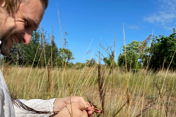 Dom, Speargrass