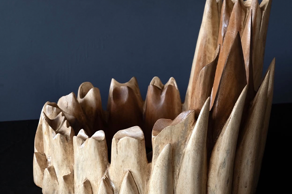 Step into a vibrant showcase of stories