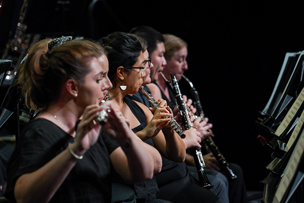 Darwin Symphony Orchestra