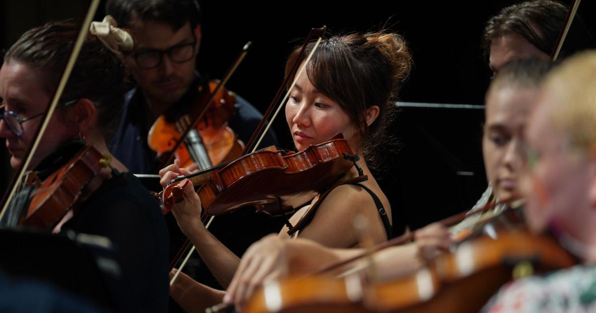 DSO Territory Tour | DSO Deconstructed | Off The Leash