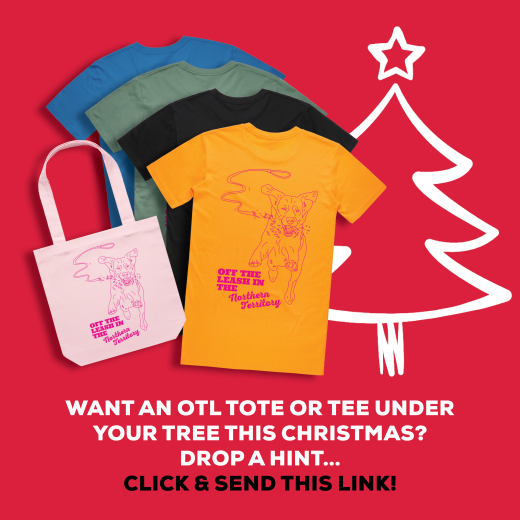 Advertisement: OTL Christmas Promo
